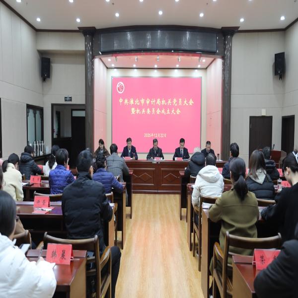 淮北市审计局机关党总支升格为机关党委并完成选举